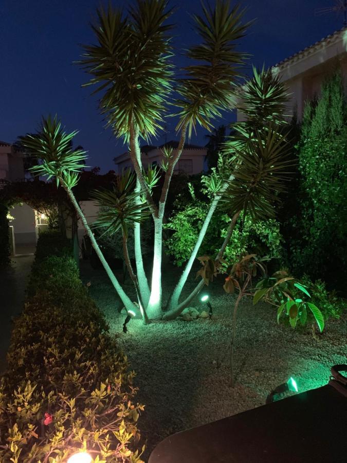 17 Vistamar Playa Flamenca Villa Eksteriør billede