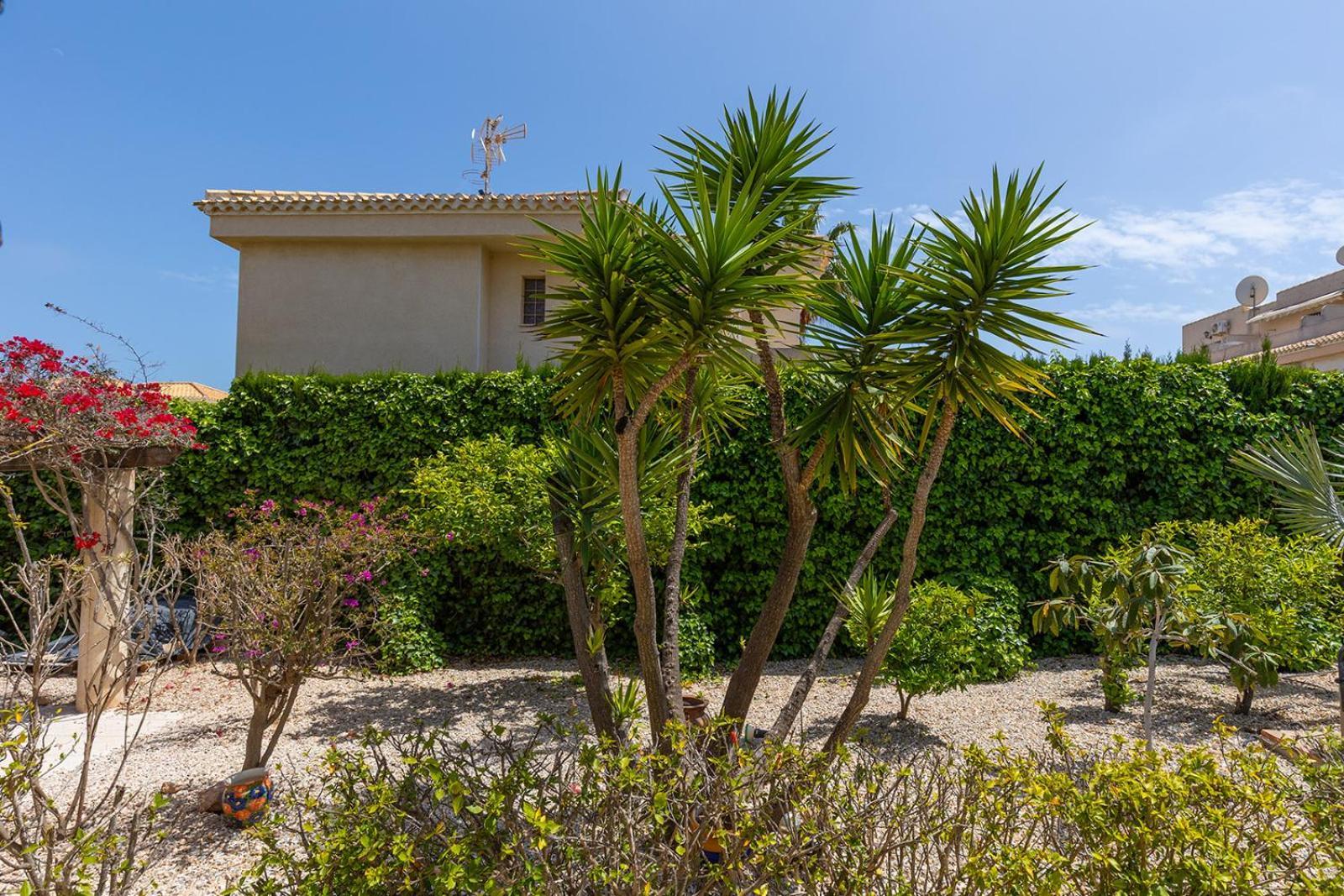 17 Vistamar Playa Flamenca Villa Eksteriør billede